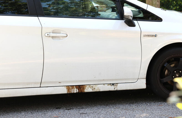 疑似有尸水从轿车的驾驶座车门缝隙流出。