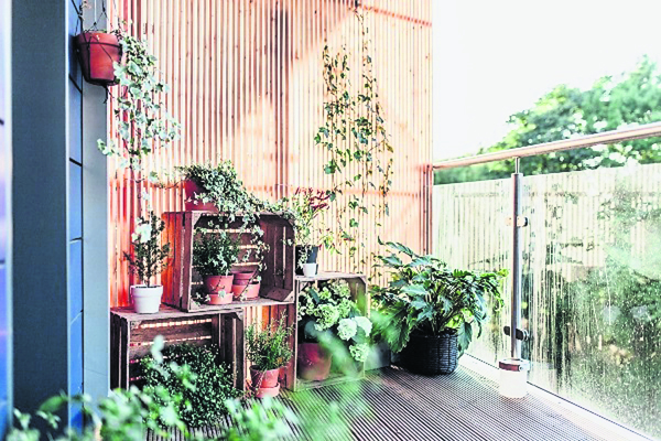 阳台的闲置位置摆放一些木制家具，加上绿植的点缀，有没有觉得很文青气氛呢？