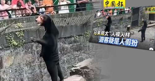 人扮马来熊疑云  反让杭州动物园客流增30%