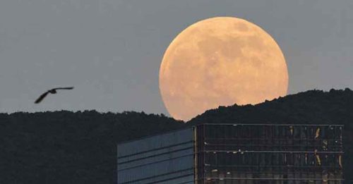 侯天同《超級月亮》