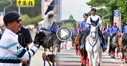 “一哥”骑白马 率骑警  参与国庆日庆典彩排