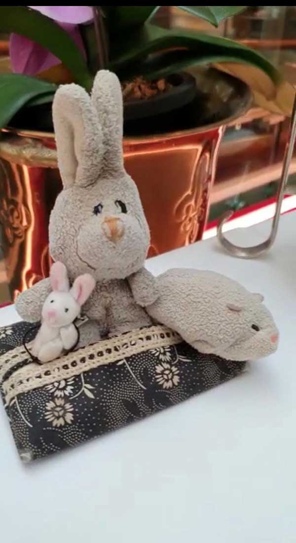 rabbit 狮城 兔娃娃