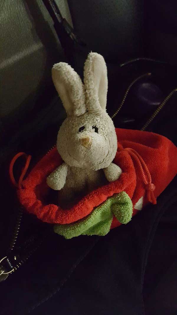 rabbit 狮城 兔娃娃