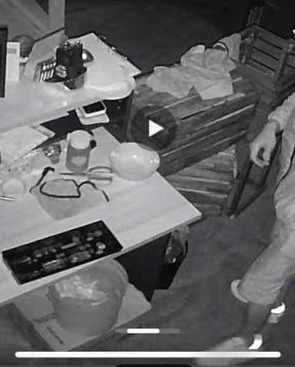 robbery kucing CCTV 偷窃 窃贼
