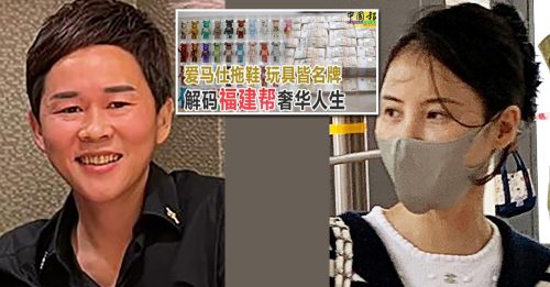 苏海金之妻前秘书 挂名近800家公司