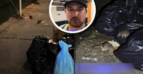 纽约有新景点 游客蜂涌逛鼠窝拍片