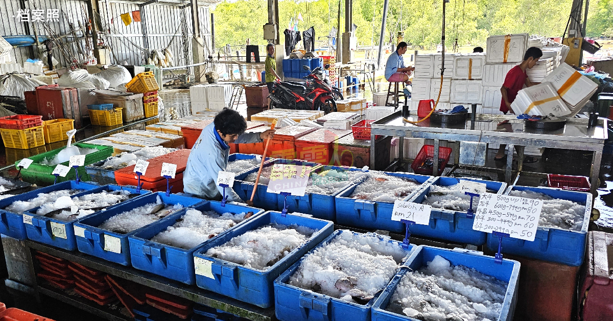 渔业局做好准备应付 季候风期间 海产供应足