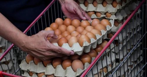 以近一倍高价卖B级鸡蛋 零售店被罚款1万令吉