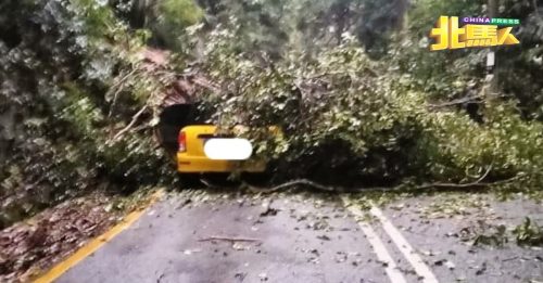 风雨中开车上日来峰 轿车被倒树压正