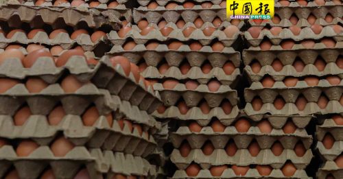 禽总：国内鸡蛋供应 不受禽流感影响