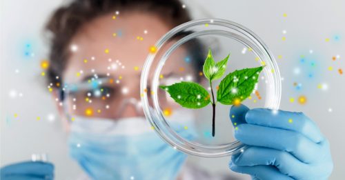 ◤劲然是这样◢曾斯劲：生物技术和基因工程 有望降低合成香料需求