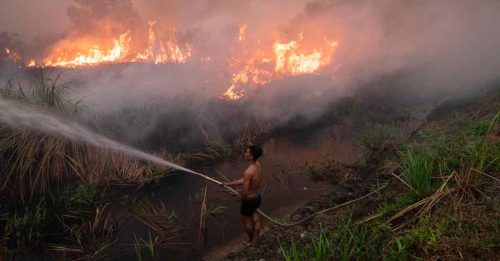 印尼部长：林火已消减 没测到烟霾飘向大马