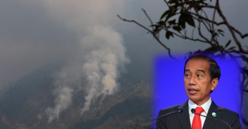 印尼总统佐科威下令 军警采取措施解决烟霾