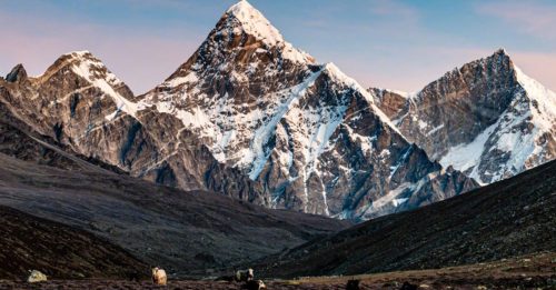 西藏希夏邦马峰雪崩 酿2死2失踪
