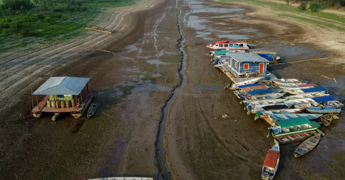巴西马瑙斯州干涸的普拉克夸拉湖，船只搁浅。