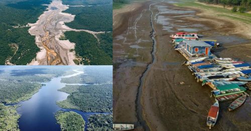 艾尔尼诺现象影响 亚马逊河严重干涸