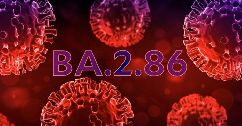 新冠病毒新变种 “BA.2.86”亮相英国