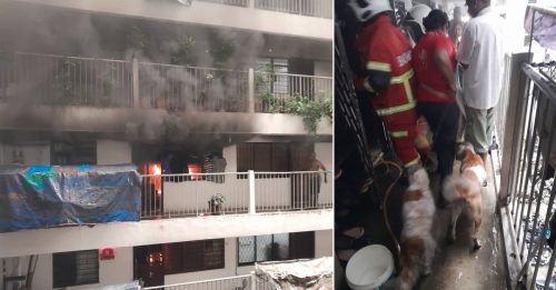 单位失火狗狗受困 居民合力撬门救狗