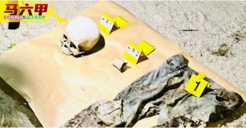 甲柠檬眼沿海空地 发现人类头颅骨头