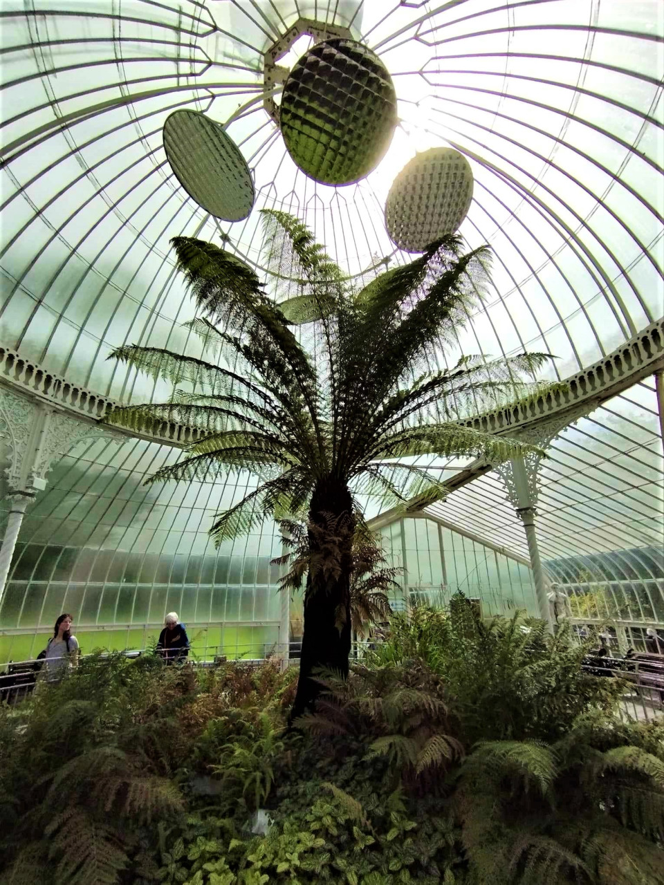 ■格拉斯哥植物园内的圆顶温室相当著名，种有不少热带及沙漠国家的植物。
