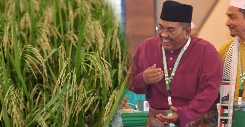 沙努西：稻米收购价太低 应增至每吨1700
