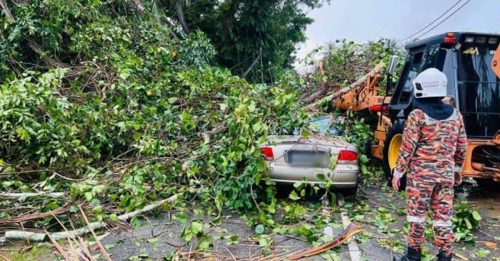 吉暴风雨来袭 多屋摧毁 树倒压车 华裔司机不治