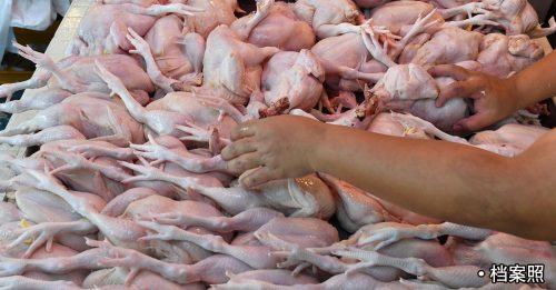 禽畜业联总保证 肉鸡供应量充足