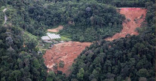 ◤峇冬加里露营地土崩报告◢ 出事地段 属99年地契农业地【内附音频】