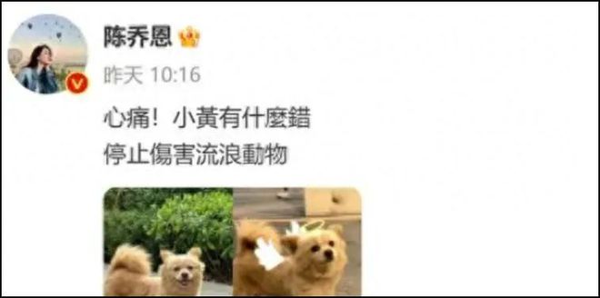 陈乔恩为流浪狗发生，引来网友质疑。