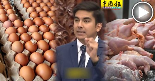 ◤预算案回响◢赛沙迪：解除顶价  蛋肉鸡价 将飙涨35%