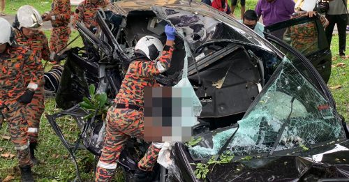 轿车失控猛撞大树坠沟 华裔司机当场被夹毙