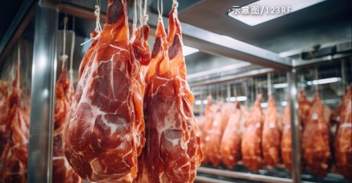 獸醫局未曾批從巴俄進口豬肉 近20萬公斤冷凍豬肉被銷毀