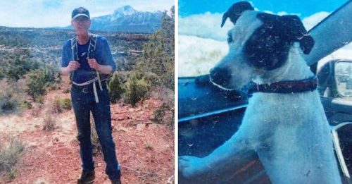 老翁登山失踪3个月成尸体 忠犬不离不弃守在旁