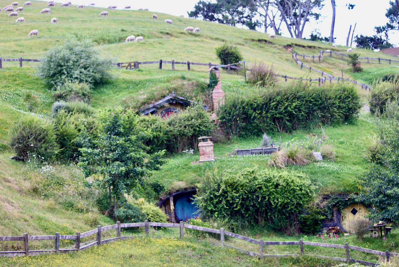 ■房舍与羊群，乐悠悠地融入起伏的绿野。