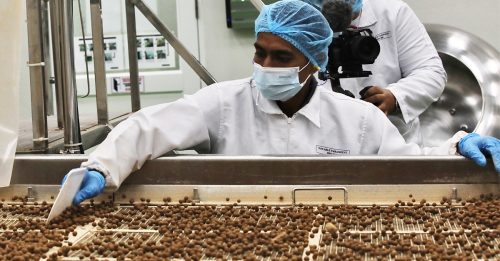 Tealive珍珠粉圆工厂 冀增产量再进军清真市场