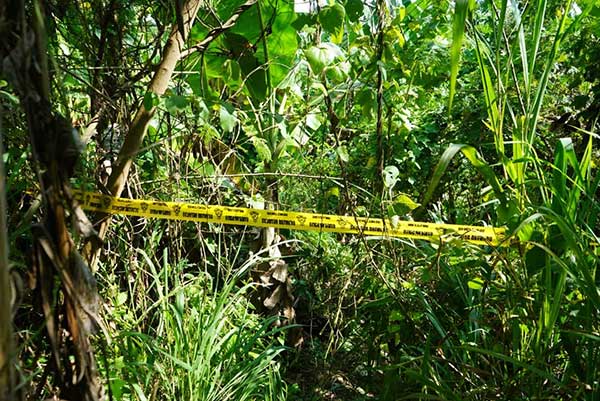 拿笃甘榜比桑香蕉园发生冷血奸杀案。（图：警方）
