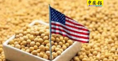 中储粮采购60万吨美国大豆