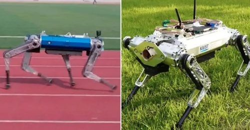 跑最快的机器狗 100公尺仅花19秒 刷新世界纪录