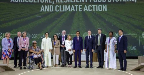 COP28多国承诺 粮食生产系统纳入减排
