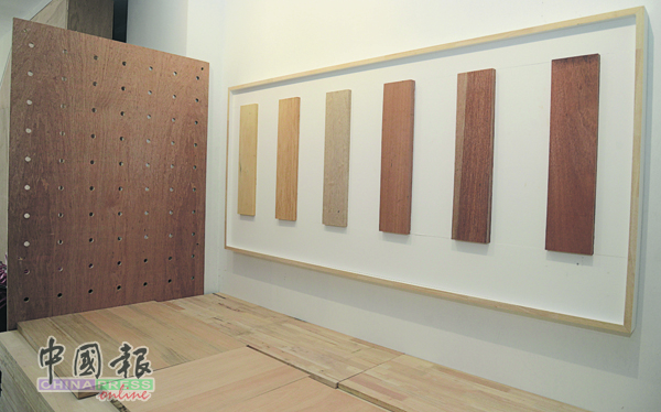 工作坊其中一个角落展示各种木料样本，包括红木（meranti）、浅红木（light red meranti）、榴梿木（durian），以及印茄木（Merbau）等。