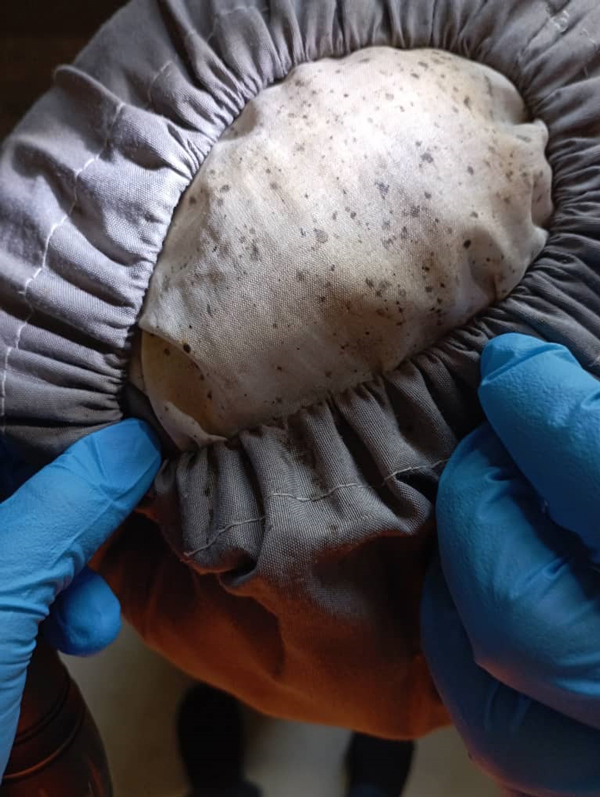 床虱喜欢躲藏在床褥、枕头抱枕、床架、插座、橱柜等阴暗处。