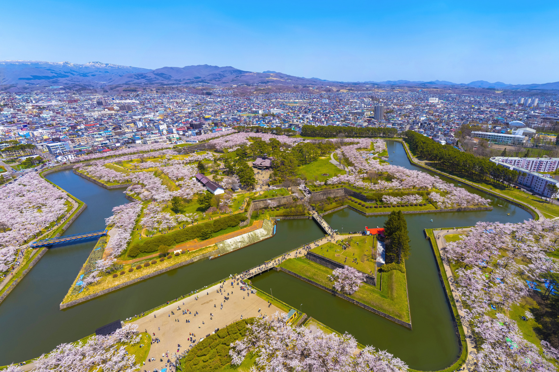 ■北海道位于日本最北端，樱花盛开比本州晚。 北海道著名的五棱郭公园是著名赏樱的热门景点，北海道的樱花祭从四月下旬到五月上旬满开。