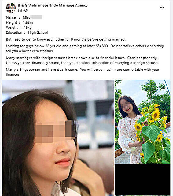 17岁越南女征婚条件 男方月入需达1.6万 婚姻介绍所：保障她未来