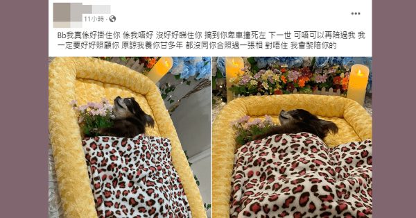 死者周四早上在面子书发文，表达对爱犬的思念之情。