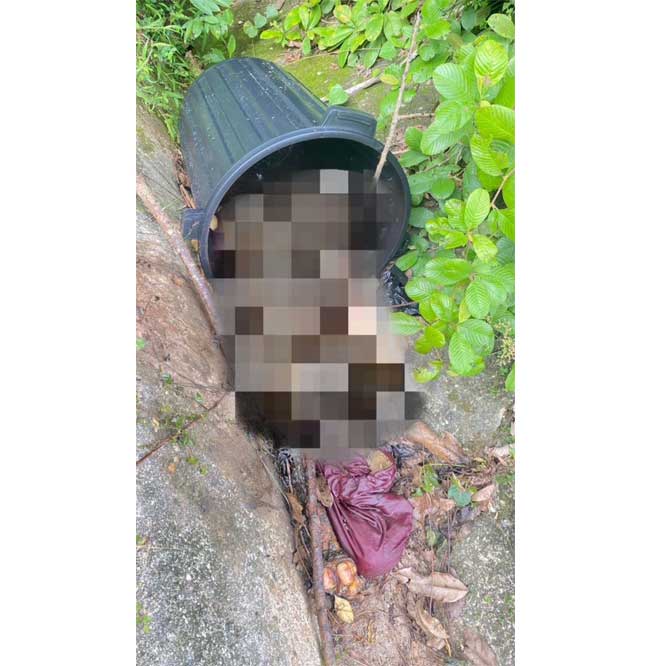 女子被发现惨遭谋杀及肢解，赤裸的身体被弃在垃圾桶内及扔在路旁沟渠内。