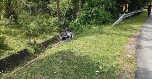 女子遭冷血肢解 残肢弃大路旁｜附音频