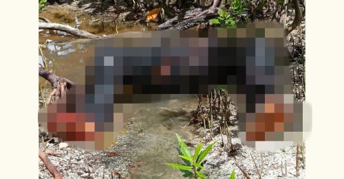 失蹤4天被發現溺斃河中 69歲男子 只剩半截身體