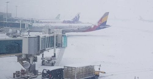 韩国济州机场暴风雪 至少273航班停飞