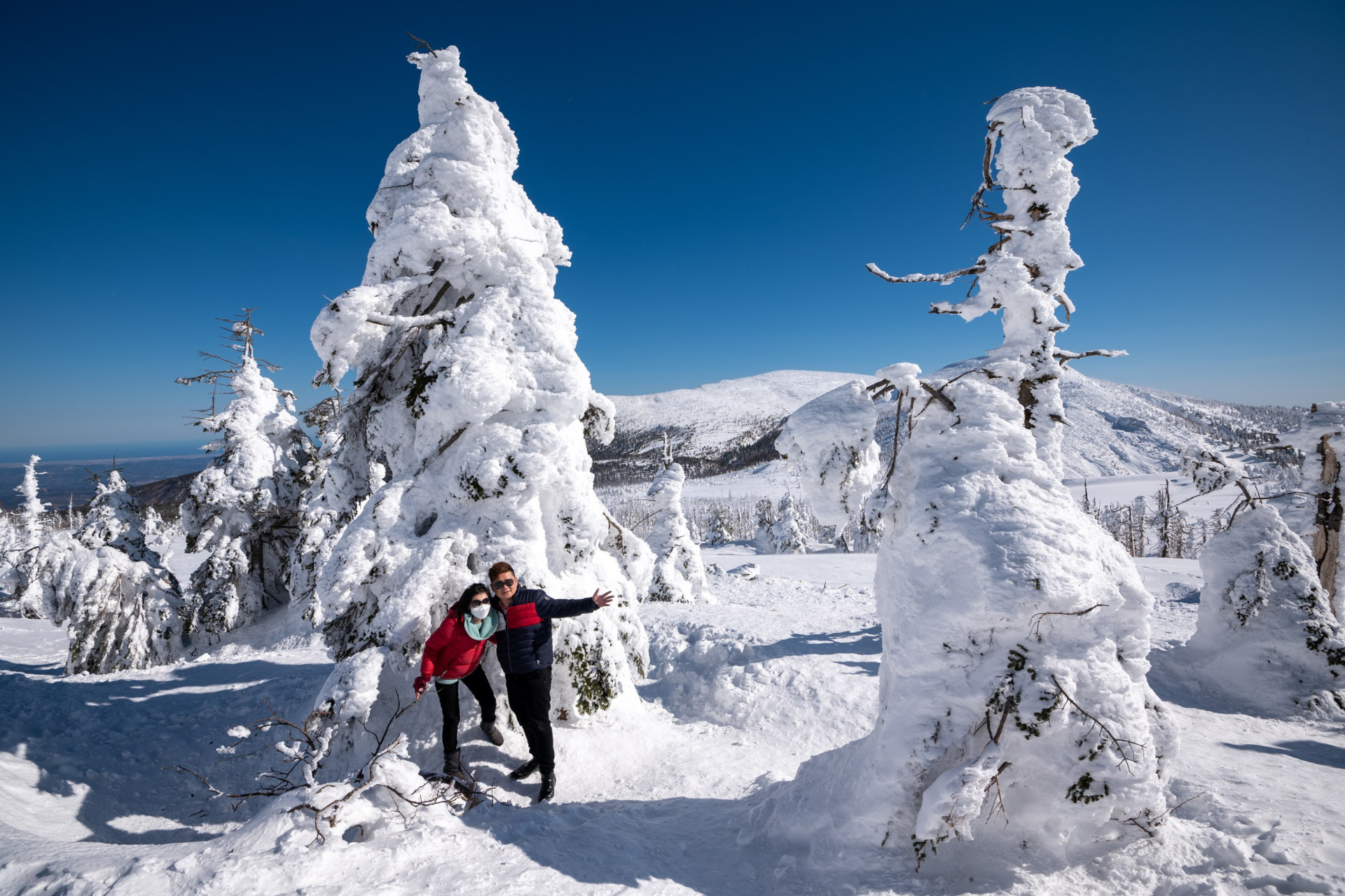 ■冬天要踏雪寻“怪”趣！我们一起去寻找被称为“冰雪怪兽”的藏王树冰吧！它们遍布藏王山，形成一幅壮观的雪景，是我们绝不能错过的冬季自然奇景。