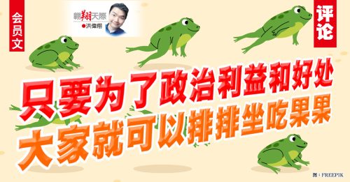 会员文｜洪伟翔：大青蛙的惊奇之旅